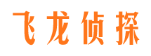 界首婚外情调查取证